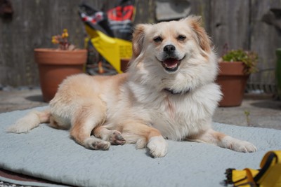 Maya!