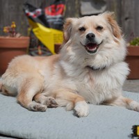 Maya!
