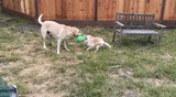 Maya!