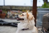 Maya!