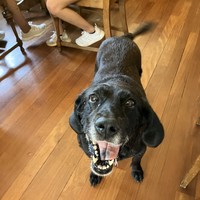 Sadie!
