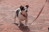Roxi!!