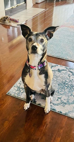 Sammy!