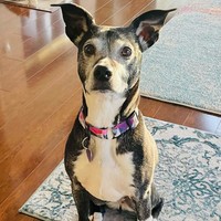Sammy!