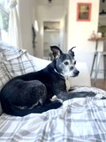 Sammy!