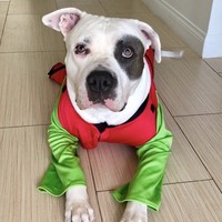 Clyde!!