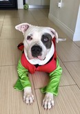 Clyde!!