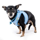 Hounder