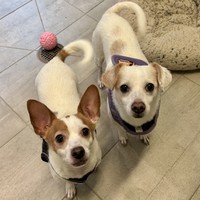 Tino and Cherry