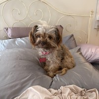 Miss Rafferty
