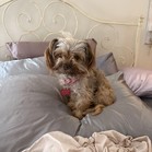 Miss Rafferty