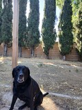Vader!