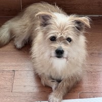 Hazel!