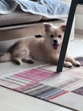 Hazel!