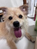 Hazel!