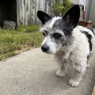 Vinnie