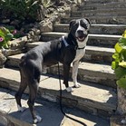 Ryder