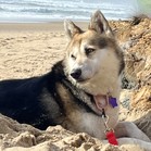 Luna Tamale
