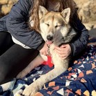 Luna Tamale
