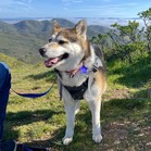 Luna Tamale