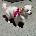 Kassy