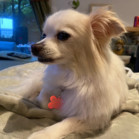 Kassy
