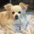 Kassy