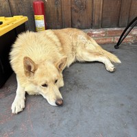 Max!!