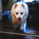 Nicholas
