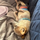 Ajax