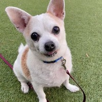 Gia!