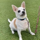 Gia!