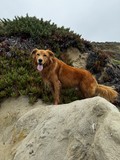 Toby!!