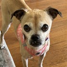 Cirie