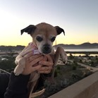 Cirie