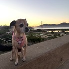 Cirie