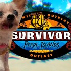 Pearl Island