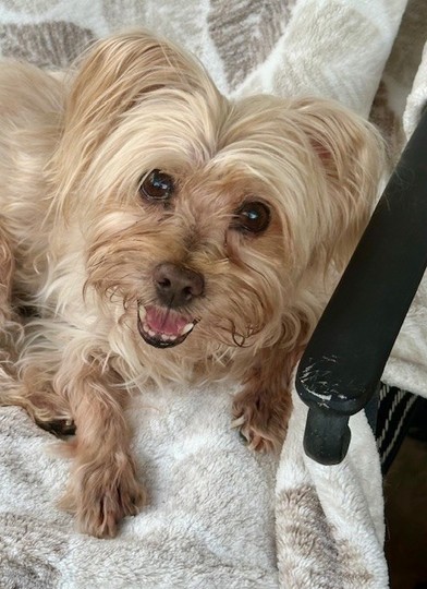 Benji!