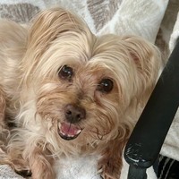 Benji!