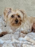 Benji!