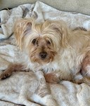 Benji!