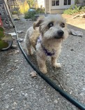 Teddy!