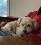 Teddy!