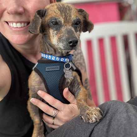 Paul Revere (Saint Paul)