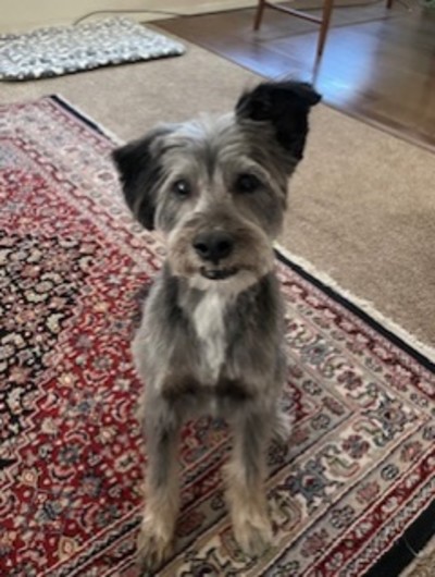 Sir Emmett Brown