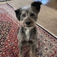 Sir Emmett Brown