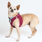 Brennan Lee Mulligan