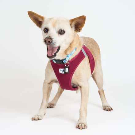 Brennan Lee Mulligan