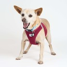 Brennan Lee Mulligan