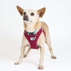 Brennan Lee Mulligan